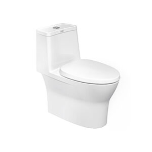 Flexio-One-Piece-Toilet