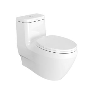La-Vita-One-Piece-Toilet